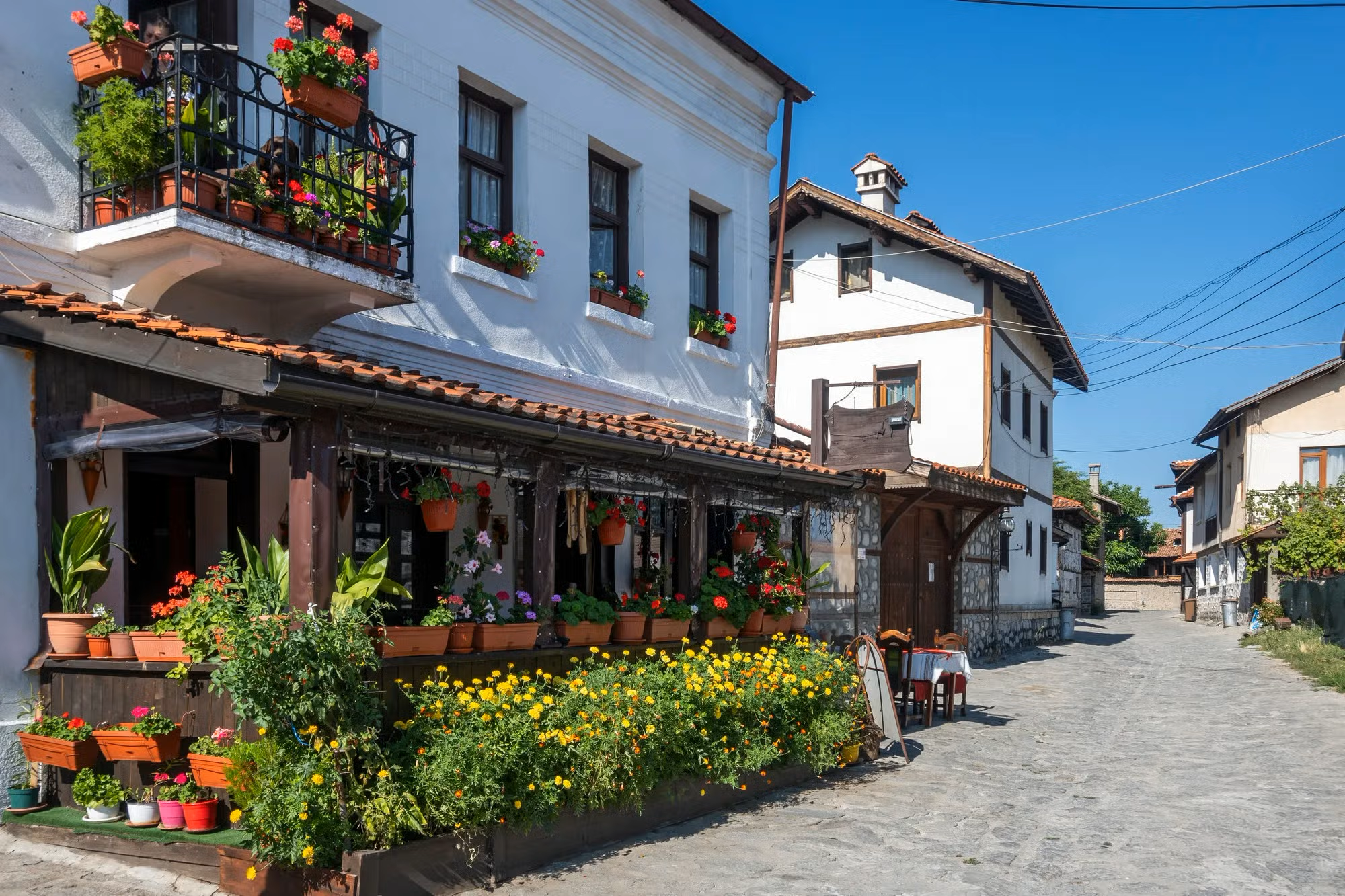Street
