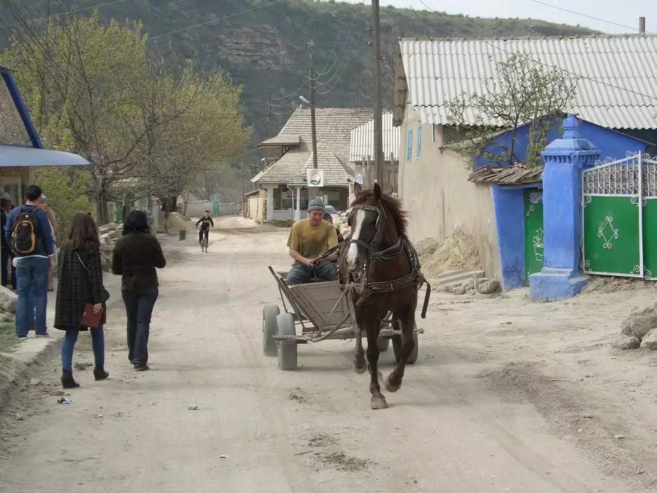 Horse and cart