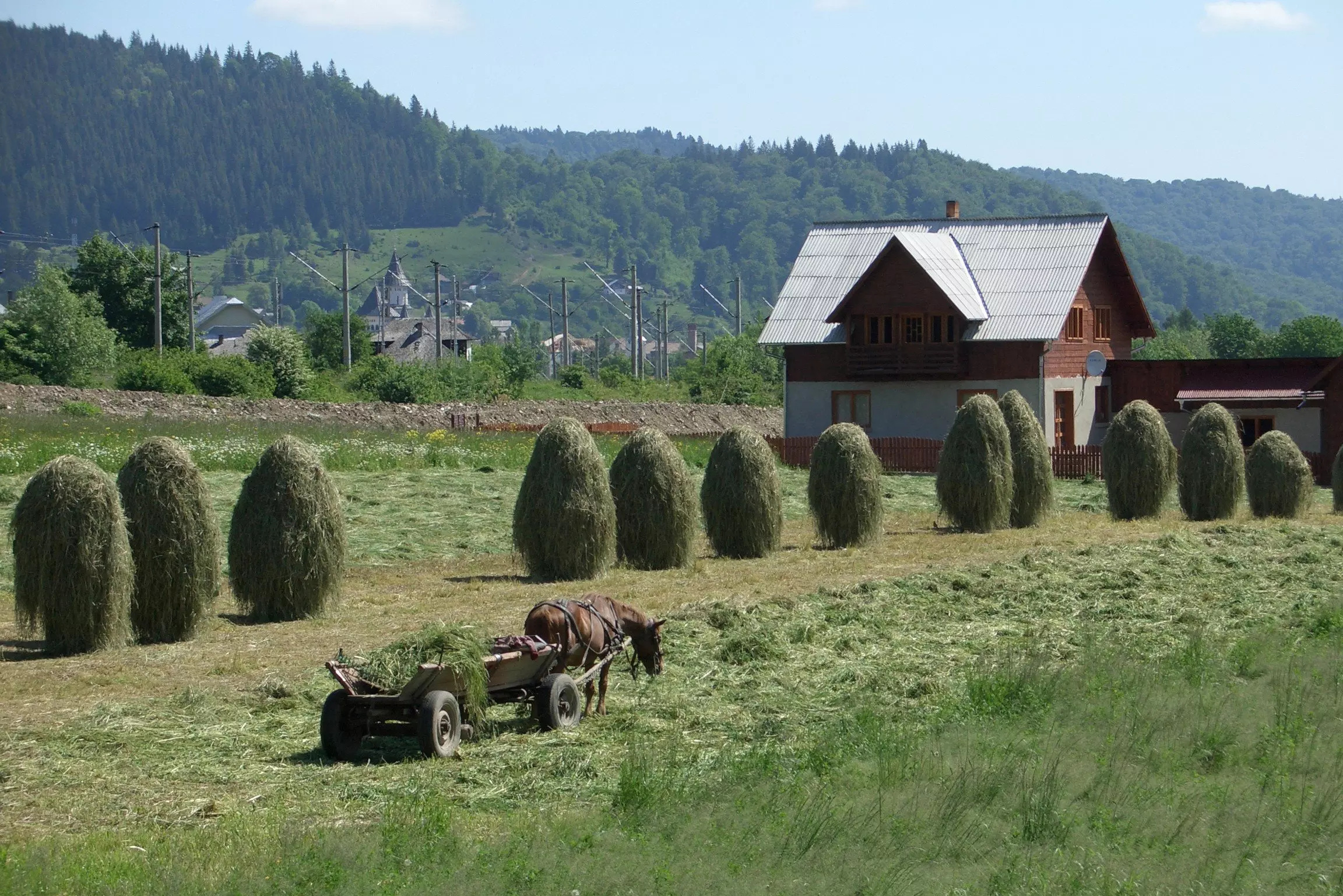 Fields