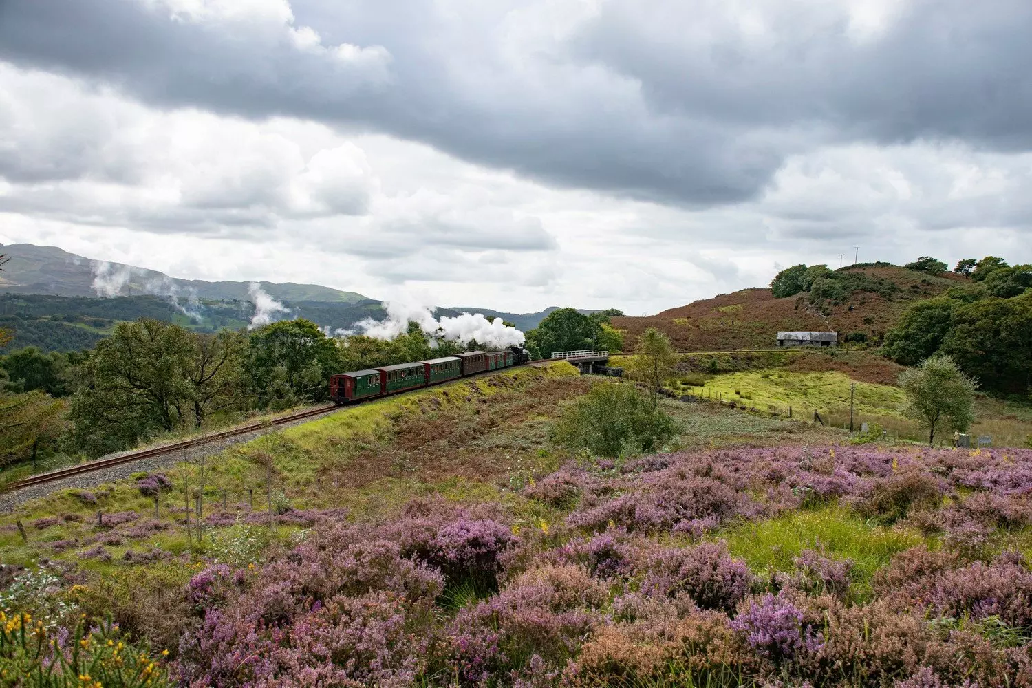 Steam train
