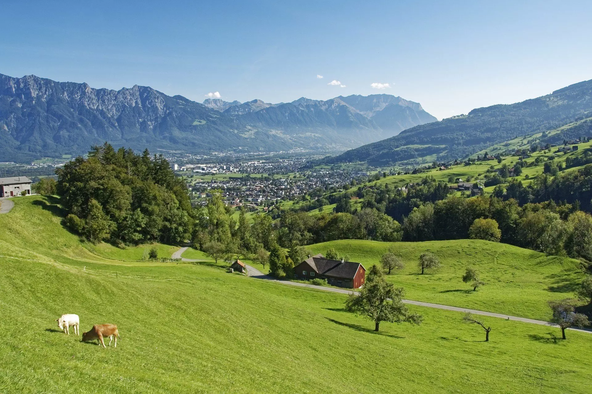 Landscape