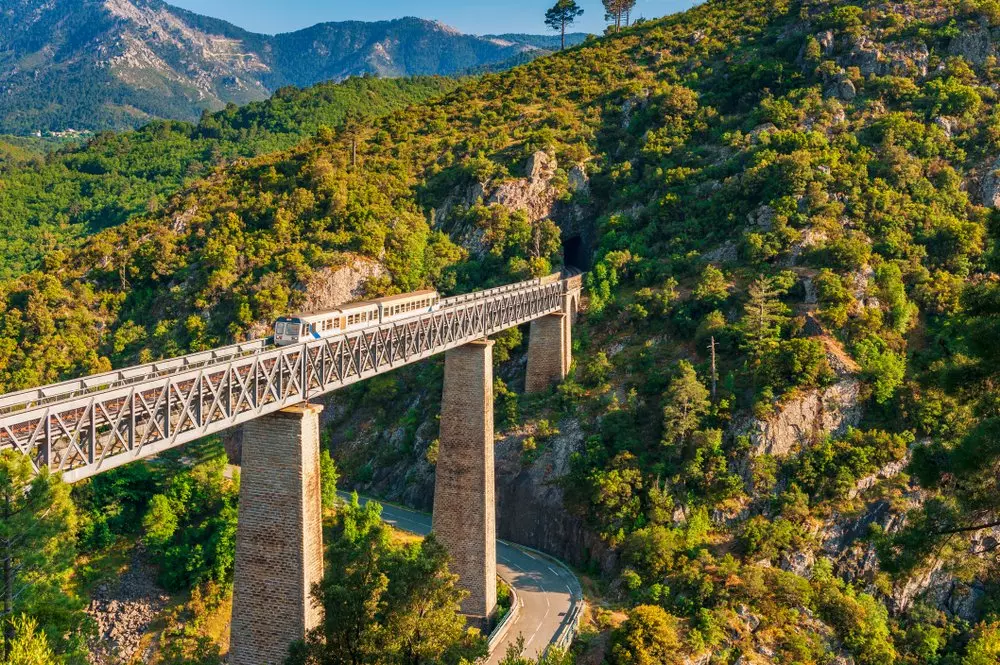 Train