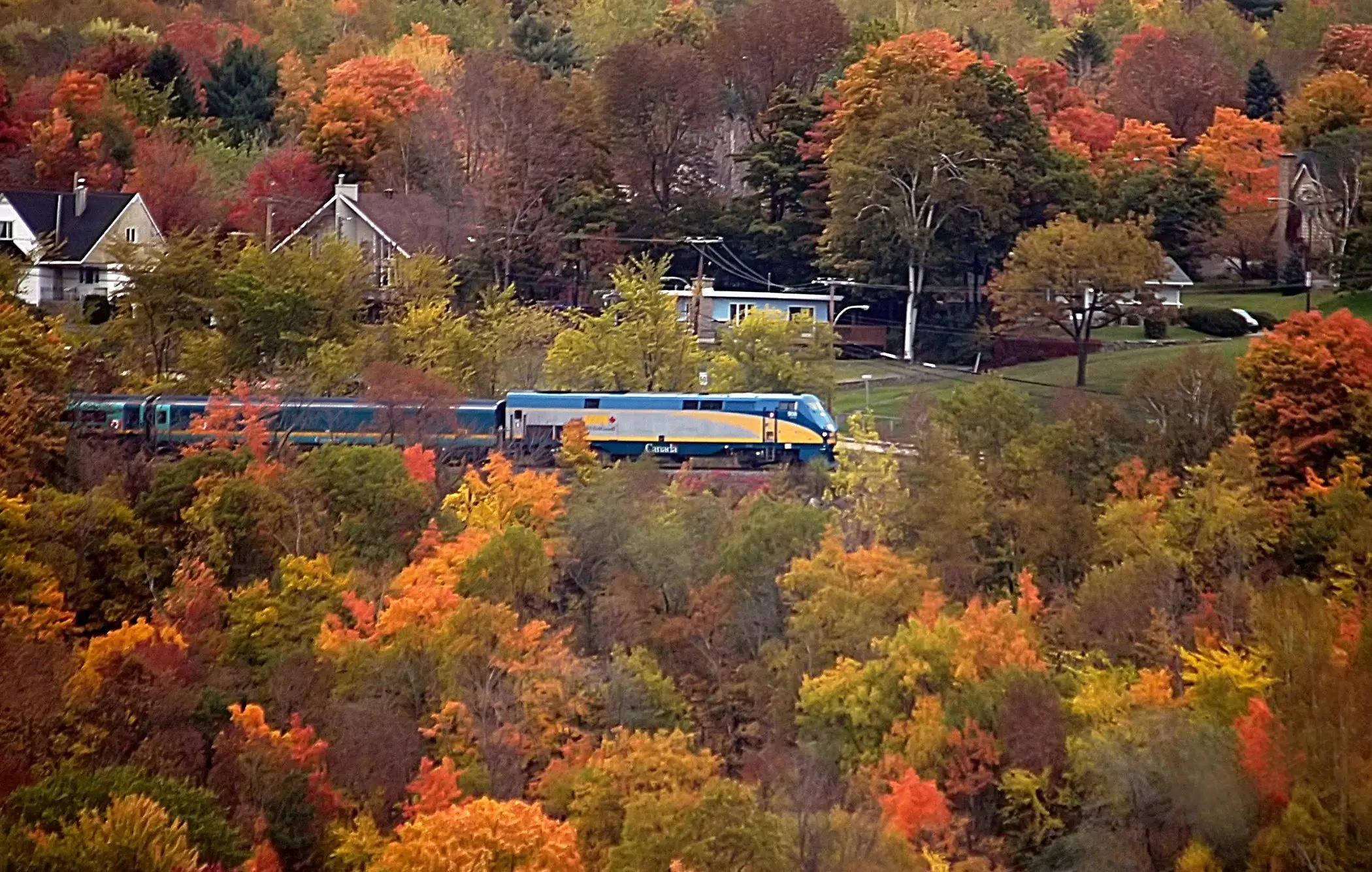 Train