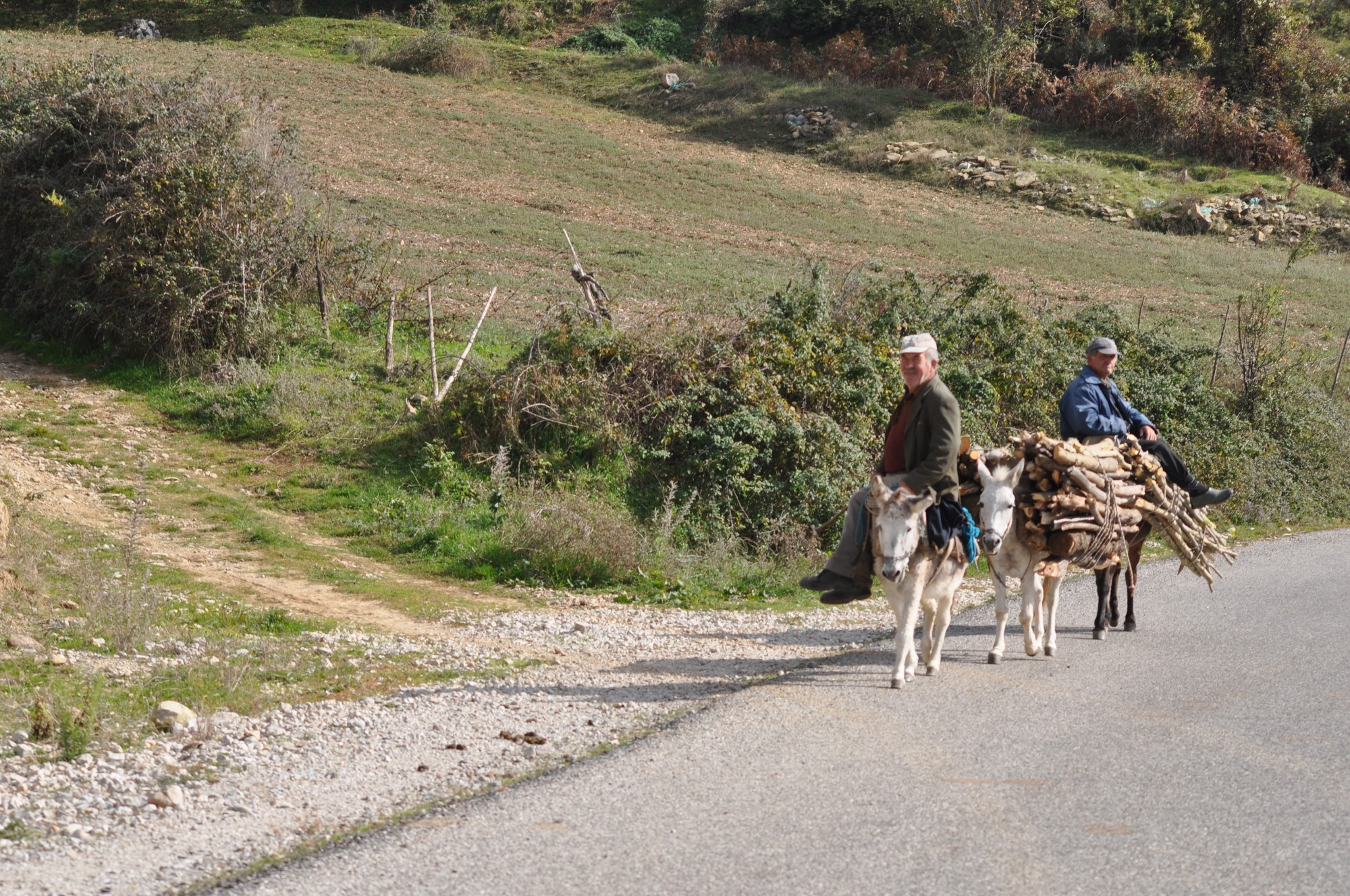 Rural Life in Albania - © Ramona Cazacu Rural road
