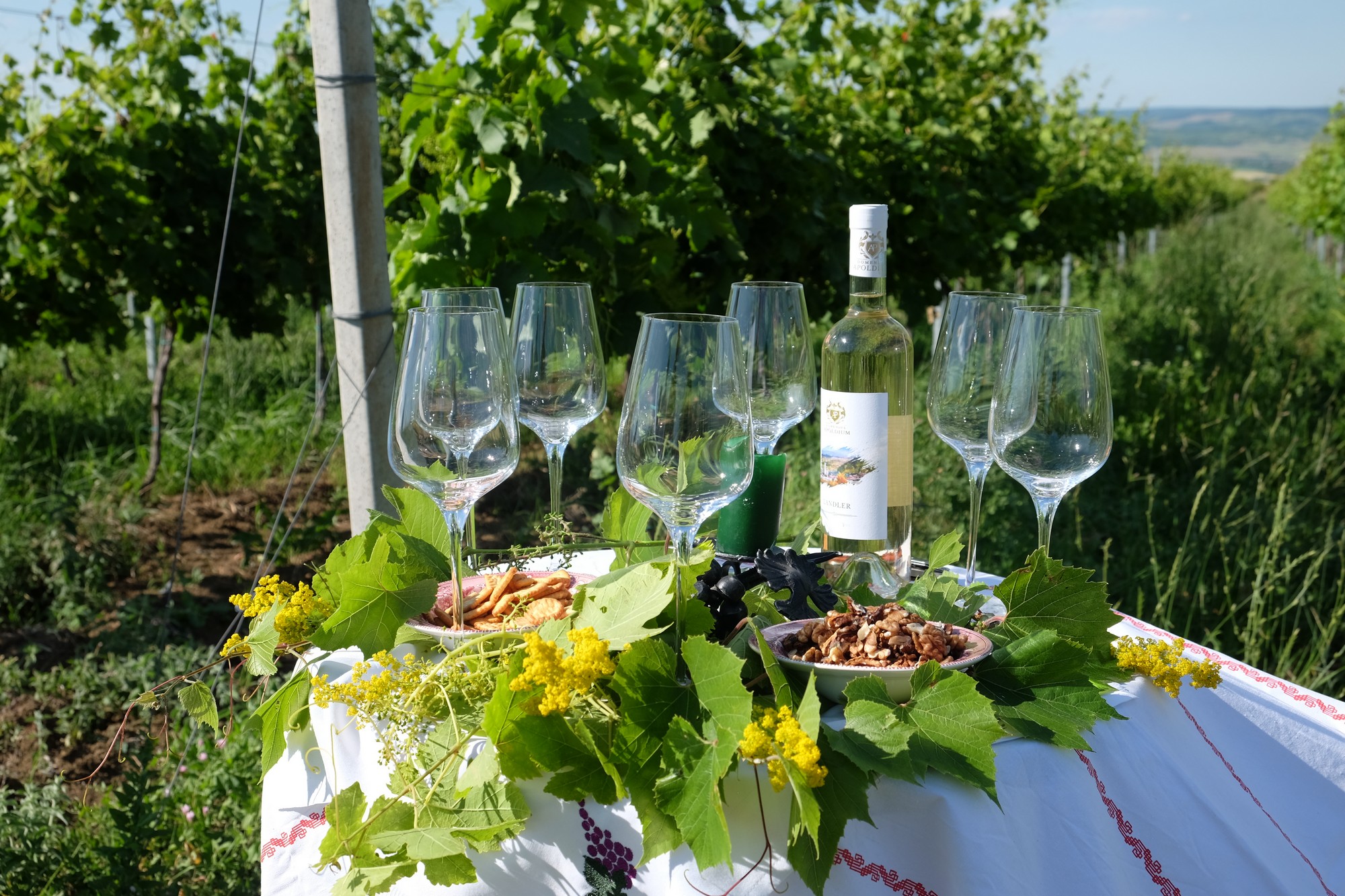 Small family winery, Apoldu de Sus, Romania - © Ramona Cazacu Winery