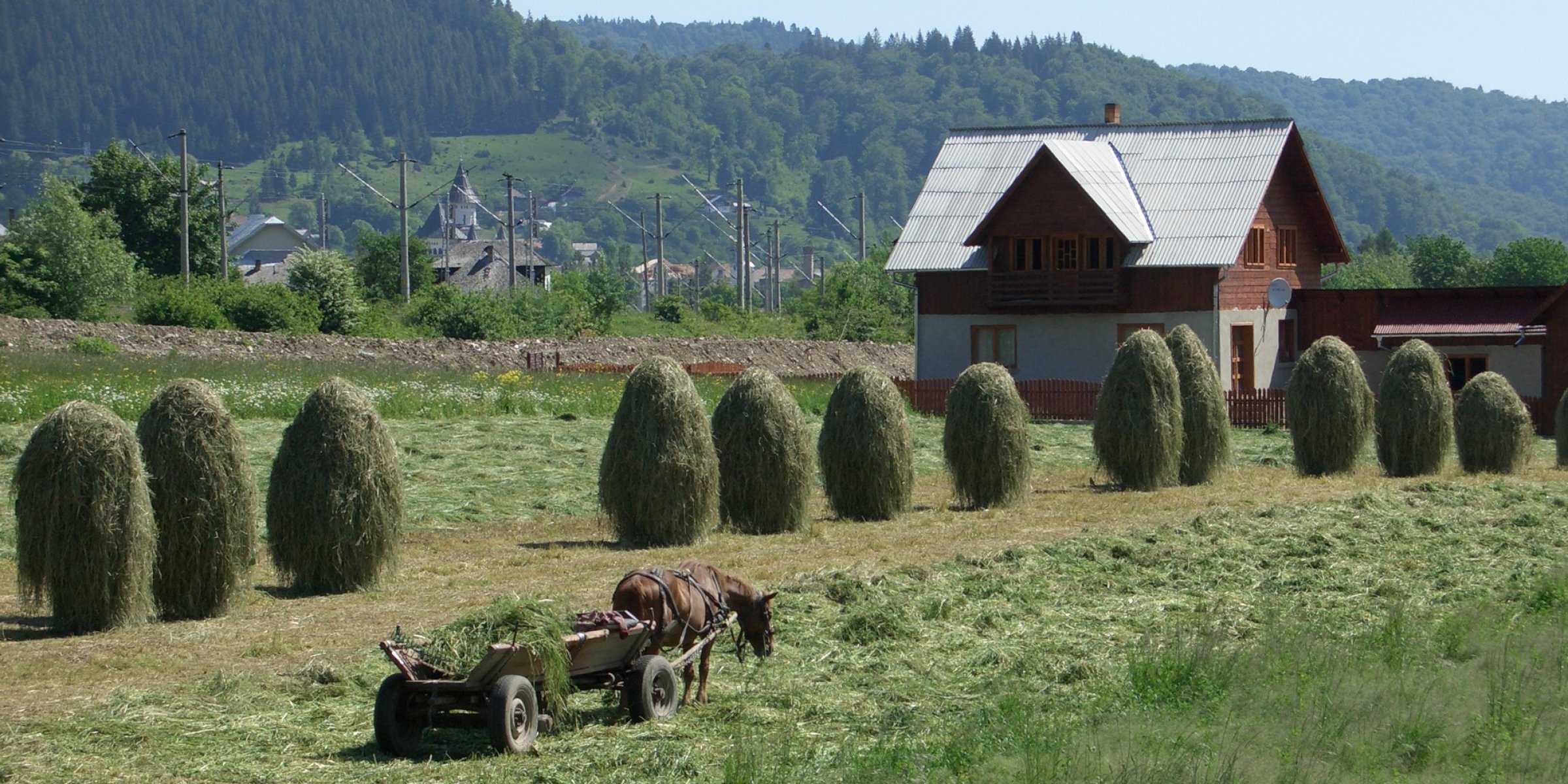 Field