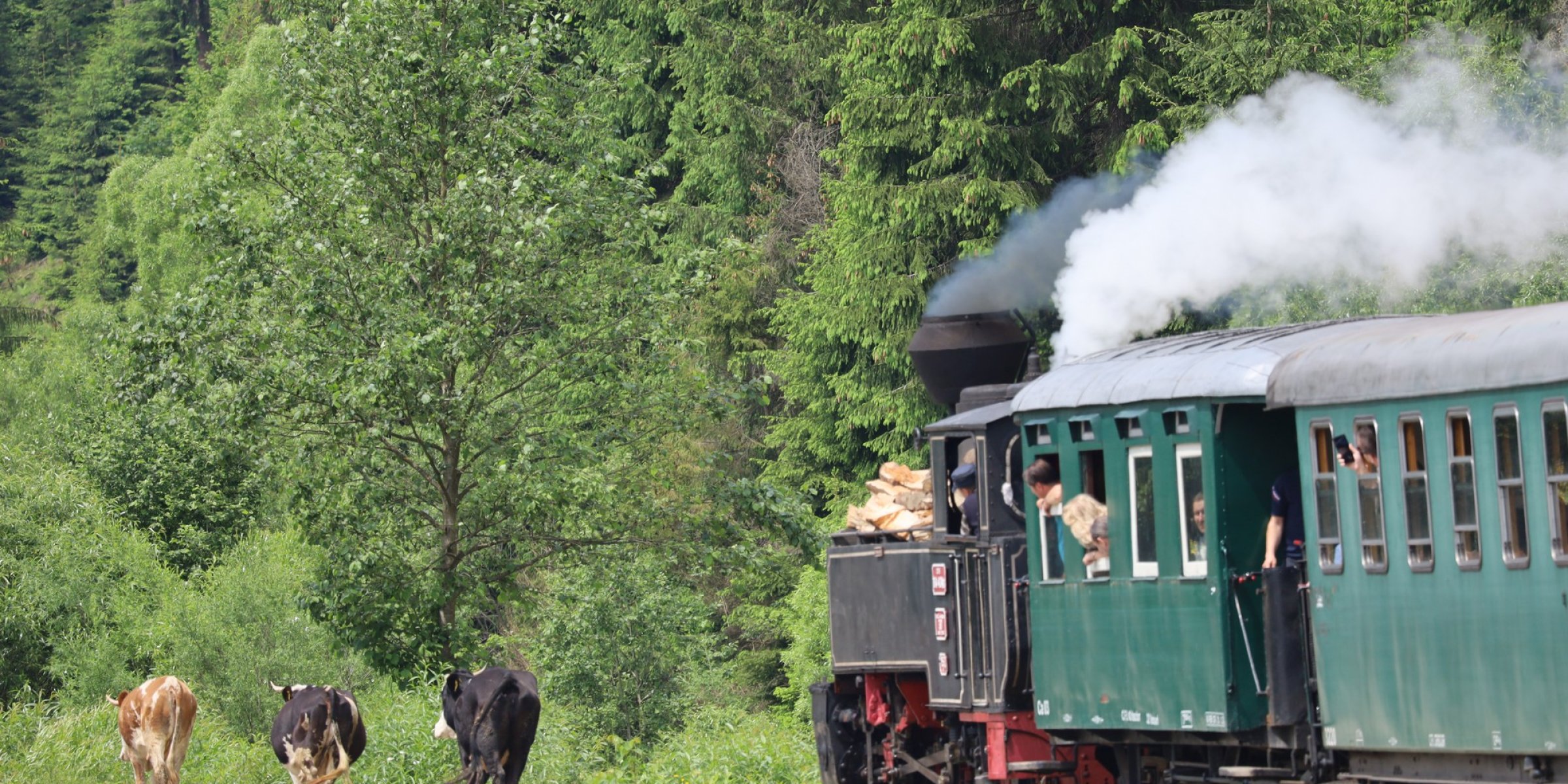 Steam train