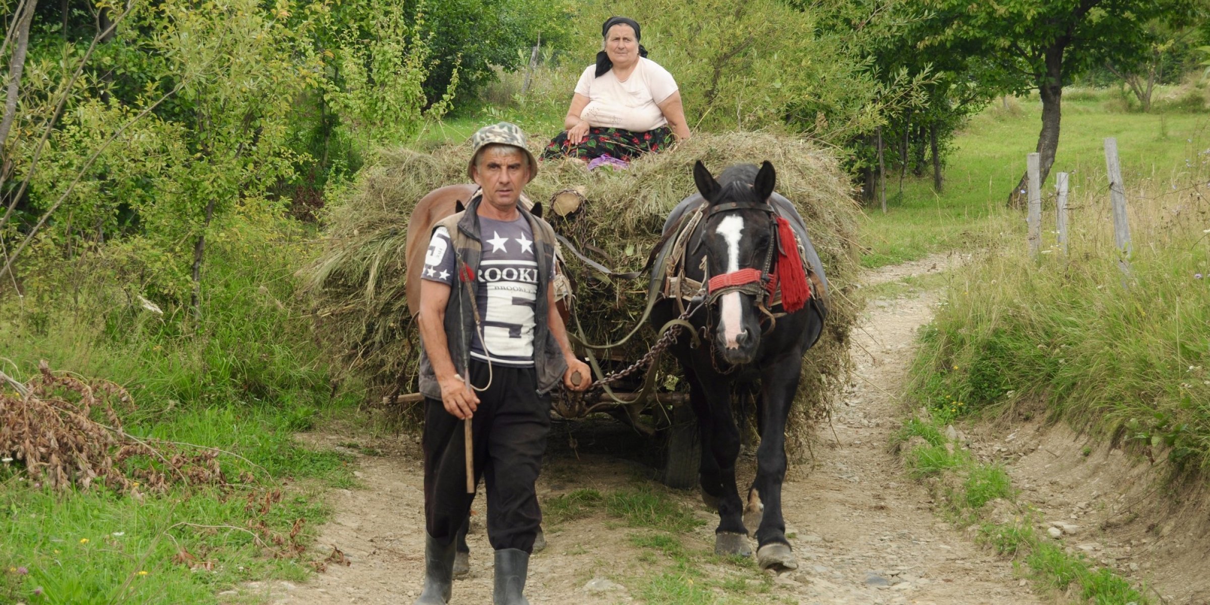 Farmer