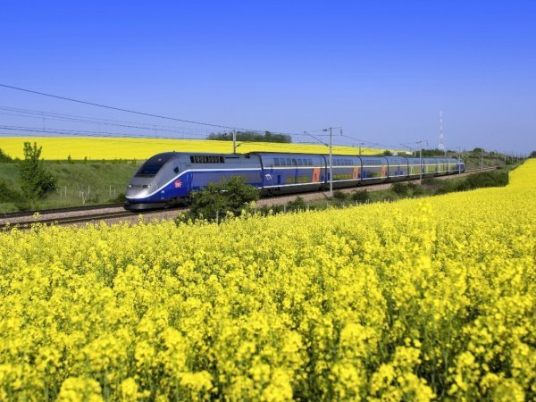 Train