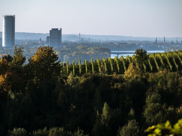 Bonn