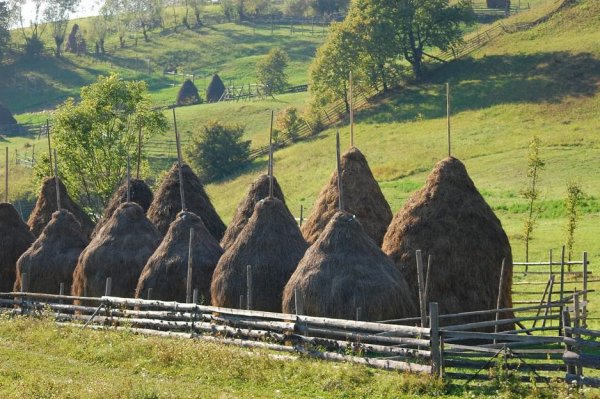 Haystacks