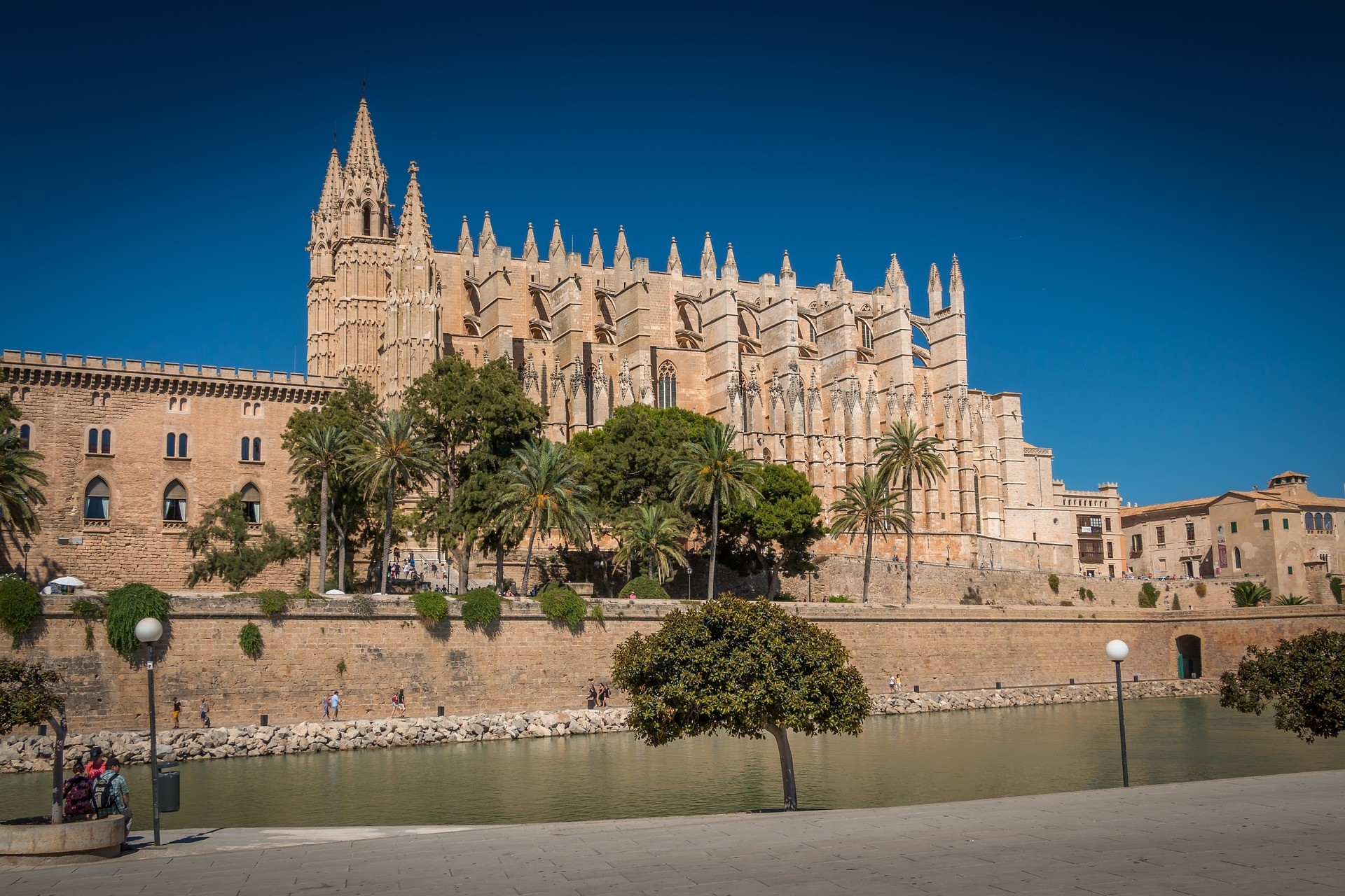 Palma's Gothic Cathedral Cathedral
